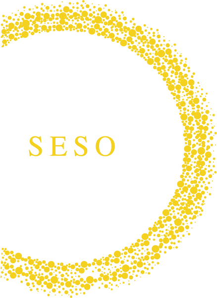 株式会社seso